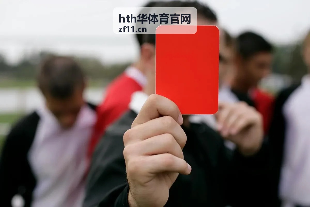 hth华体育官网焦点对决海报