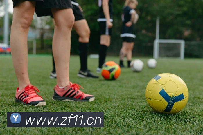 爱游戏全站app官方网站APP 封面图